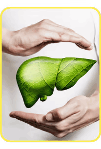 Moringa Magic - Benifit 7